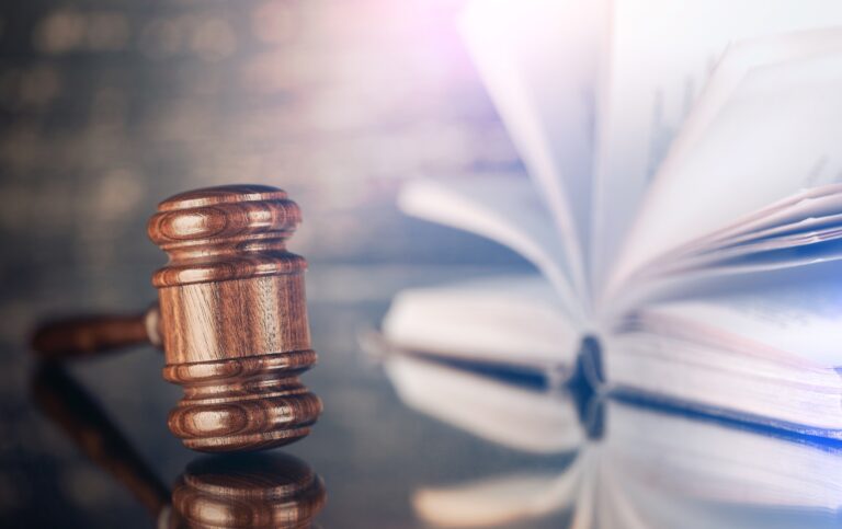 Adoption of the law