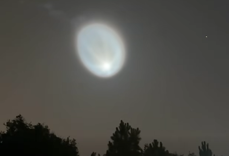 SpaceX Starlink Launch Lights Up the Pre-Dawn Sky