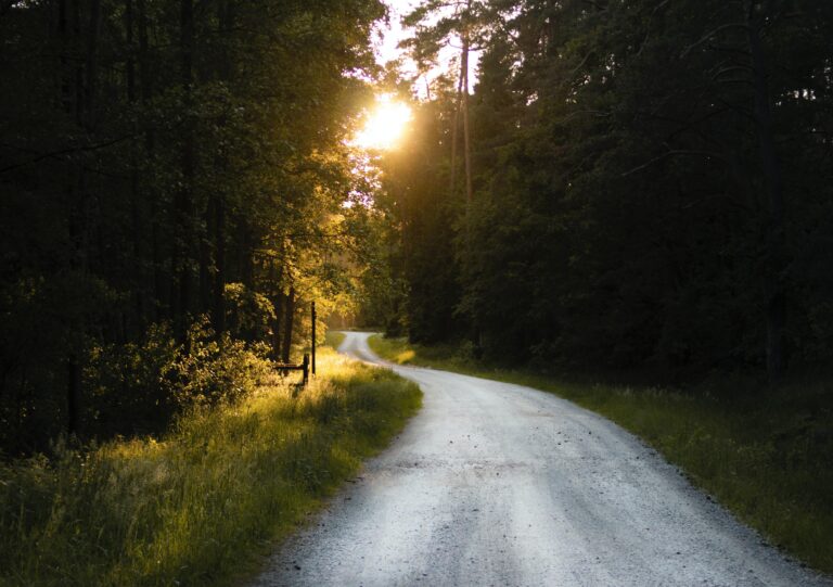 Daily Devotional: Living Word