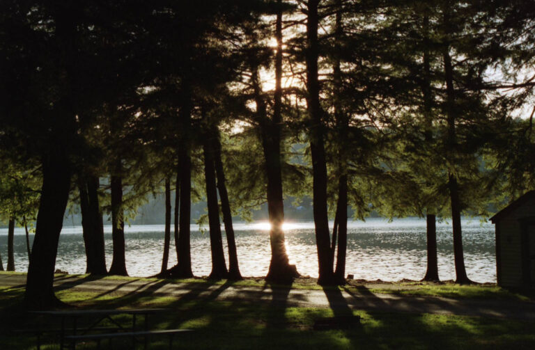 Daily Devotional: The Holy Spirit, You Are Not Doing This Alone