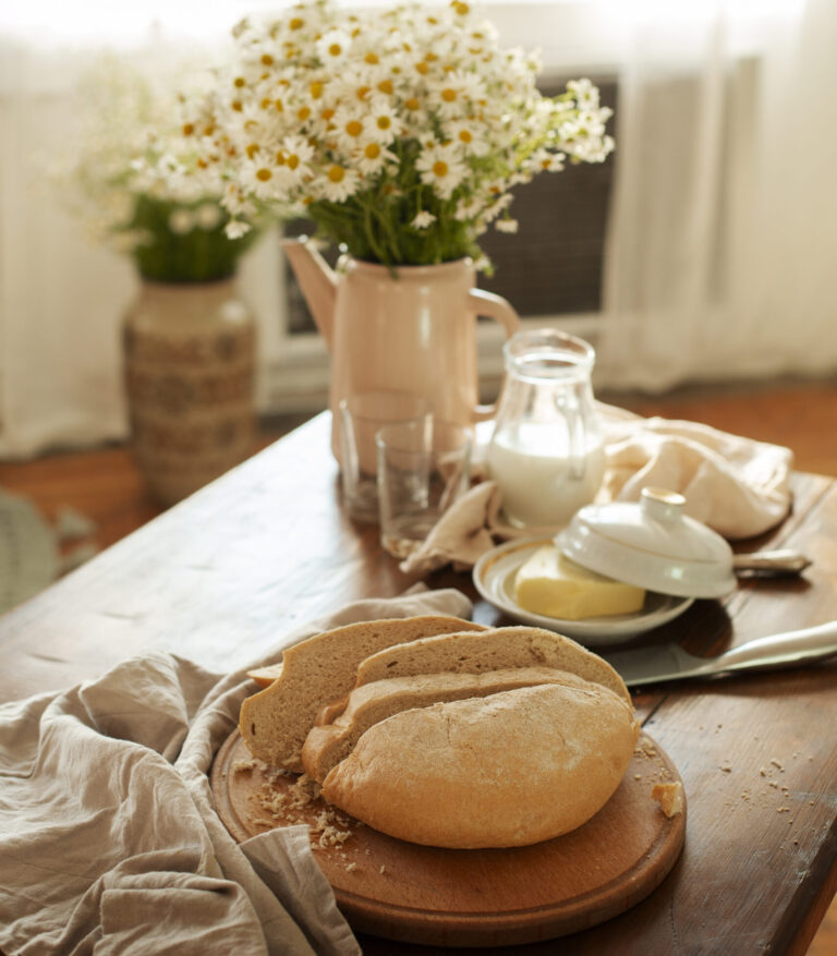 Daily Devotional: The Word of God: Nourished, Not Just Informed