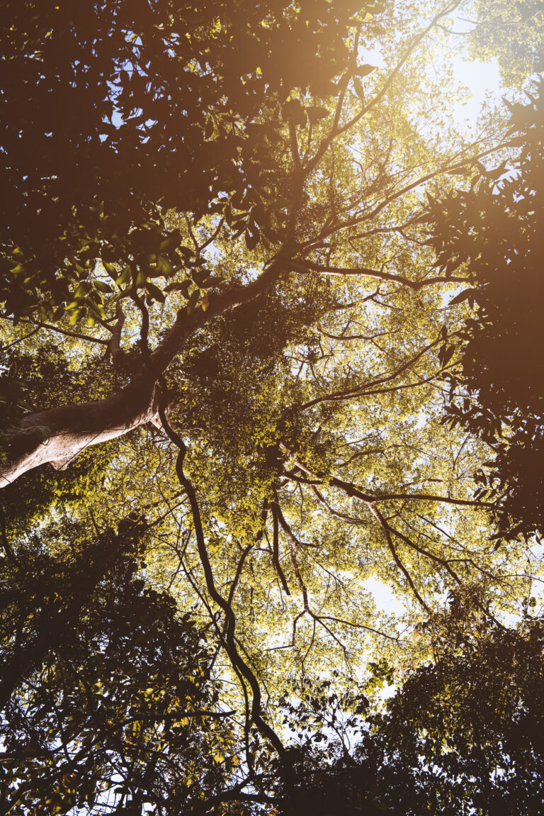 Daily Devotional: The Holy Spirit, You Are Not Doing This Alone