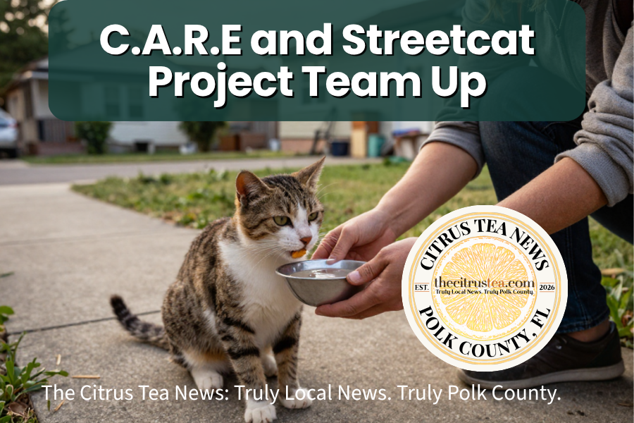 Volunteer caring for a community cat as part of a Polk County TNVR program