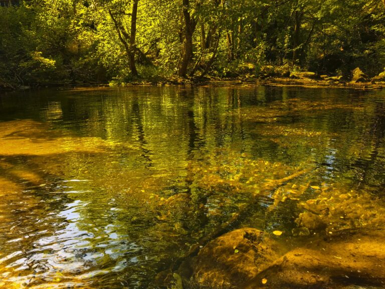 Clear, calm water reflecting peaceful light, symbolizing sober, honest self-reflection in true humility