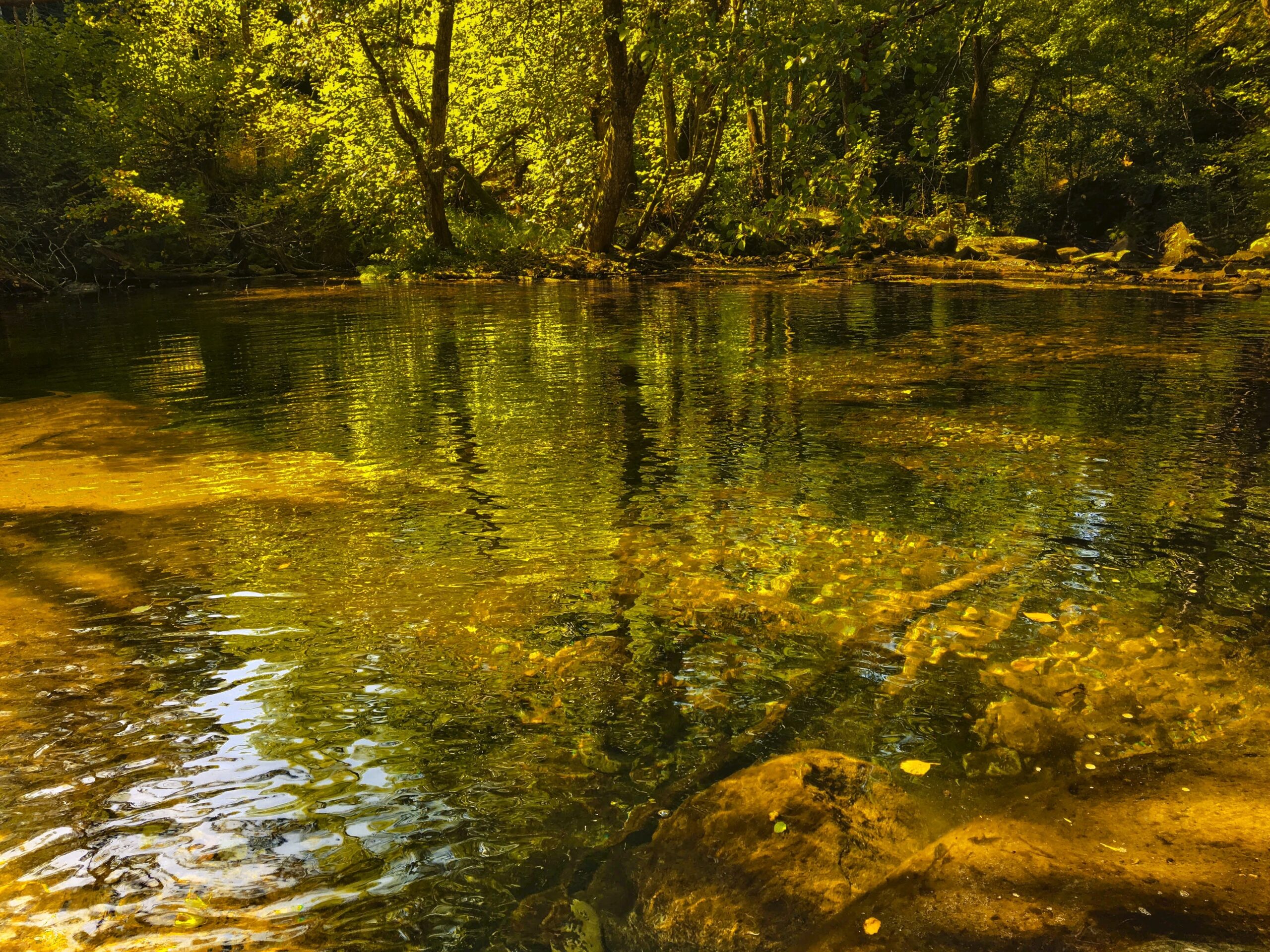 Clear, calm water reflecting peaceful light, symbolizing sober, honest self-reflection in true humility