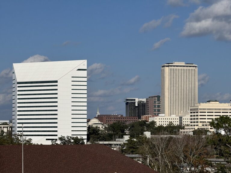 The Turlington Building, which houses the Florida Department of Education, stands in the foreground, with the Tallahassee skyline, including the Capitol building, beyond. Photo taken from the FAMU campus on Dec. 31, 2024. (Photo by Jay Waagmeester/Florida Phoenix)