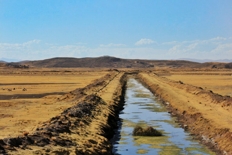 Stream flowing through a desert landscape symbolizing healing and renewal in the wilderness