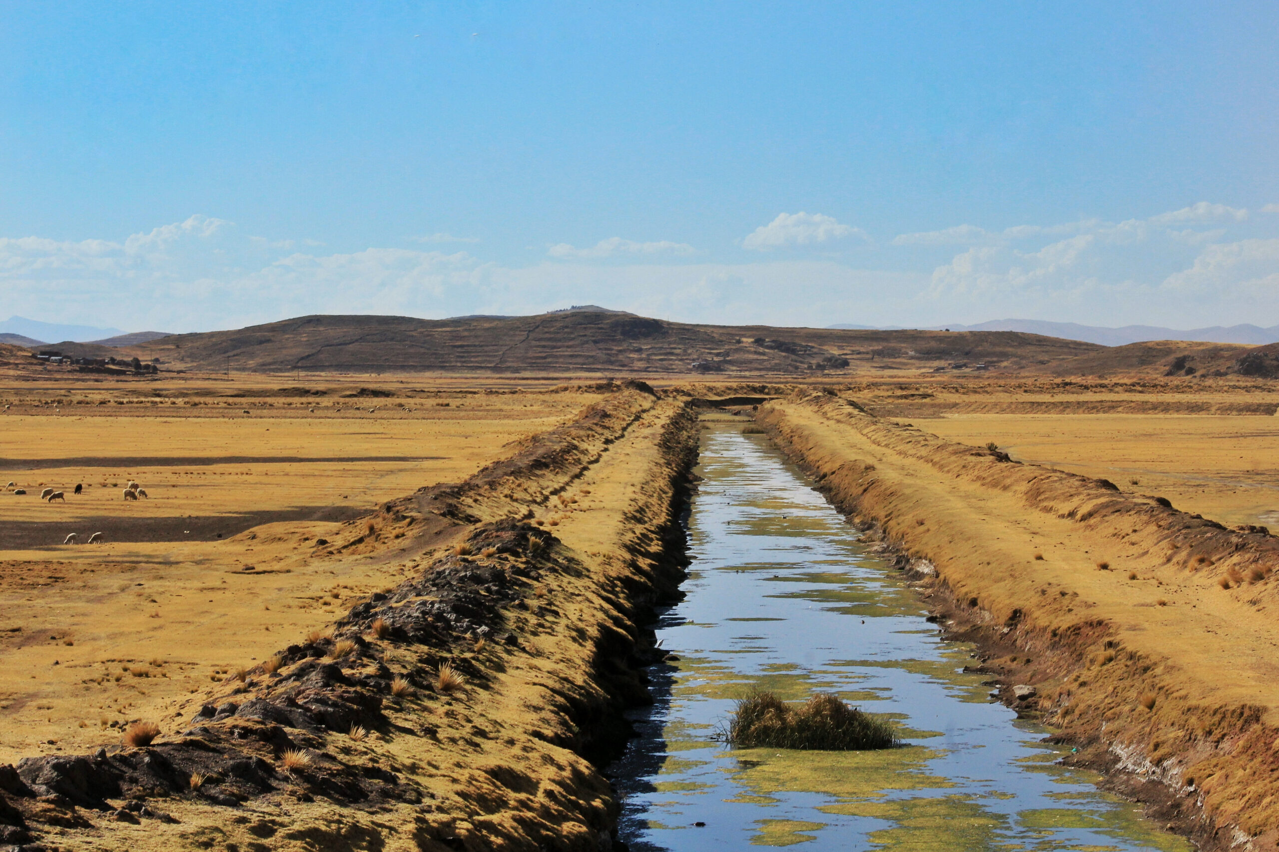 Stream flowing through a desert landscape symbolizing healing and renewal in the wilderness