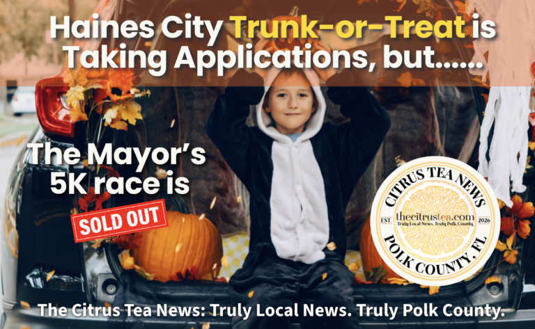 child in costume sitting in decorated trunk or treat car.